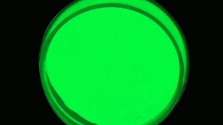 Wasser Photolumineszierende Pigment-Glühpulverfarben, die im Dunkeln leuchten